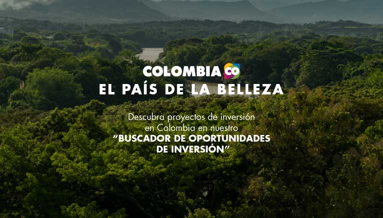 Buscador de oportunidades