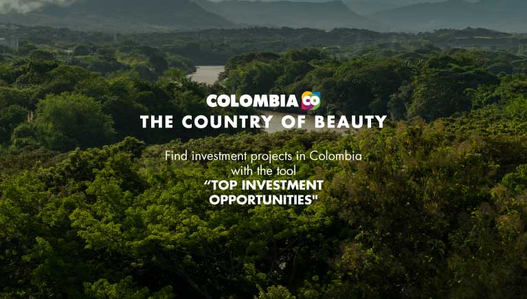 Buscador de oportunidades