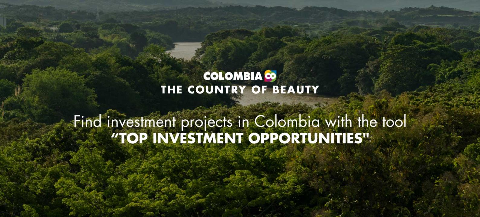 Buscador de oportunidades