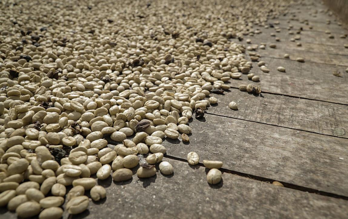 La creciente demanda de alimentos posiciona a Colombia como un actor crucial de productos orgánicos para mercados como EE.UU. y la Unión Europea, ofreciendo grandes oportunidades de exportación.