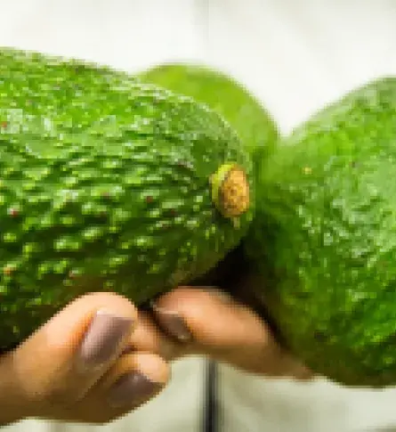 El aguacate en Estados Unidos