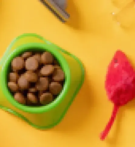 Productos para mascotas sobre una mesa de madera.