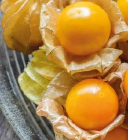 Uchuva: una de las frutas exóticas con grandes propiedades nutricionales.