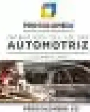 Incentivos del Sector Automotriz