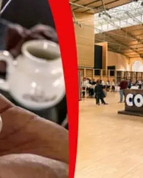 Taza de Café