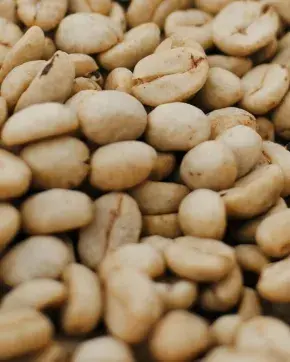 Granos de café