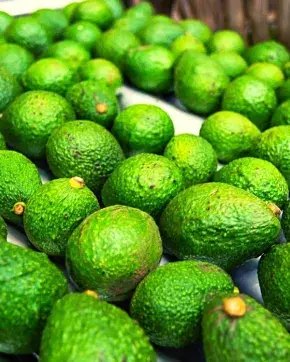 Aguacates Hass Colombianos