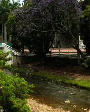 Fotografía de paisaje en Cali