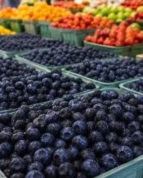 Colombia busca inversión para acelerar industria de arándanos