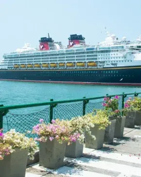 Crucero