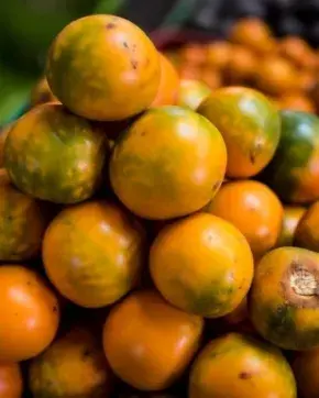 Lulo_frutas de Colombia
