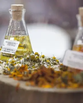 ·	Vegan, cruelty-free, and sustainable products position Colombia as a leader in the global cosmetics market.