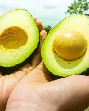 Aguacate abierto