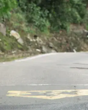 Ciclistas de ruta