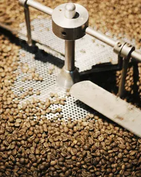 Maquina  Industrial para tratar granos de café