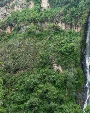Paisaje Colombiano