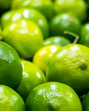 Limones