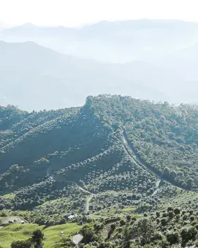 Panoramic photography of Colombian landscape