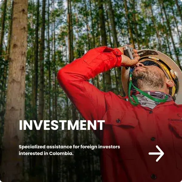 INVESTMENT