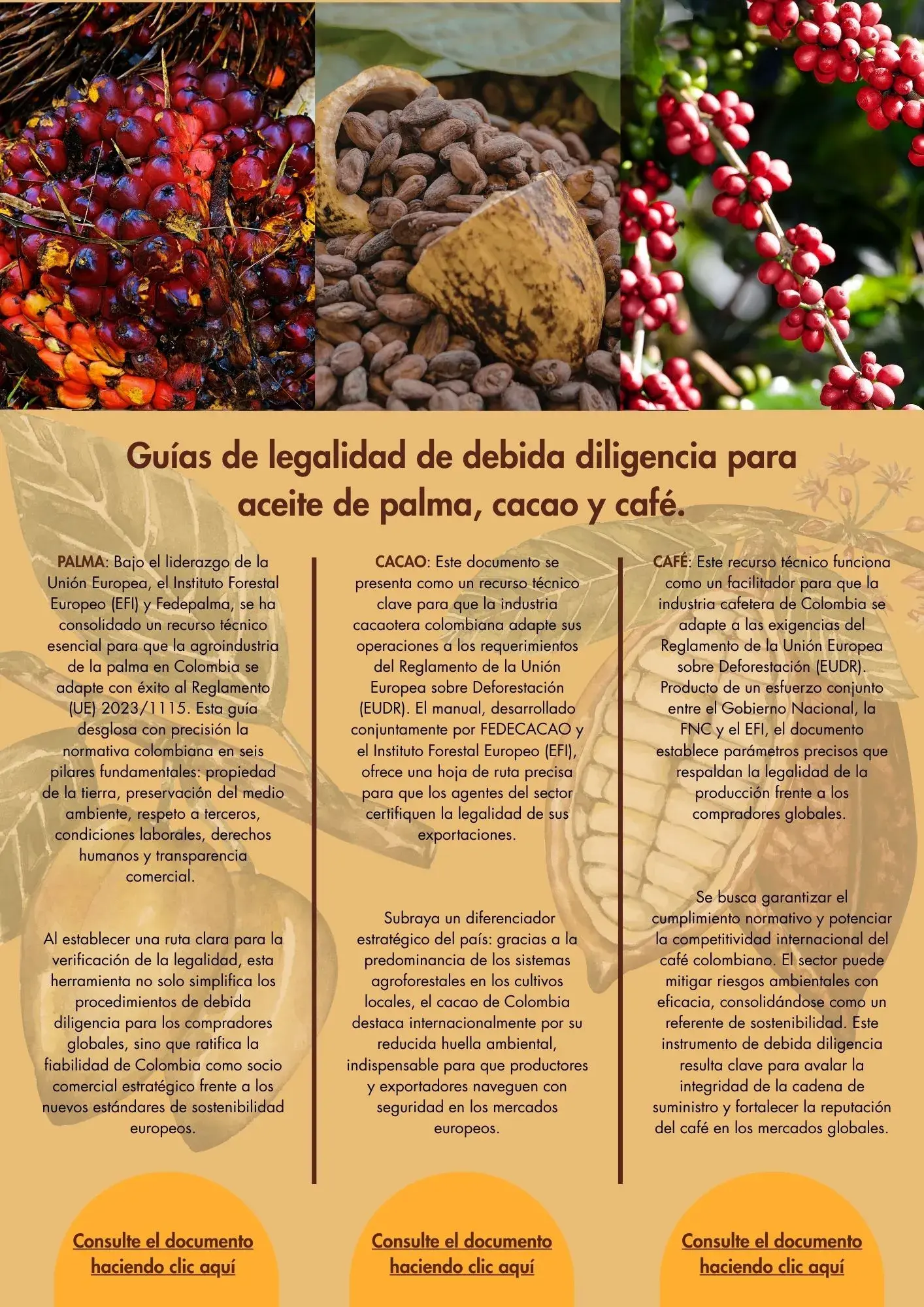 Guias de legalidad de debida diligencia