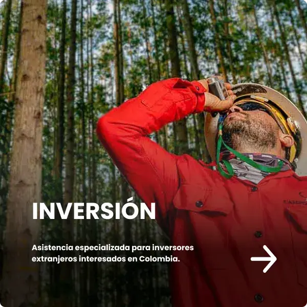 inversion-block-v2