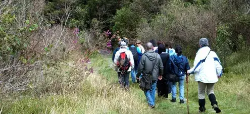 personas caminando