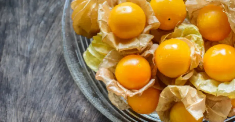 Golden berry