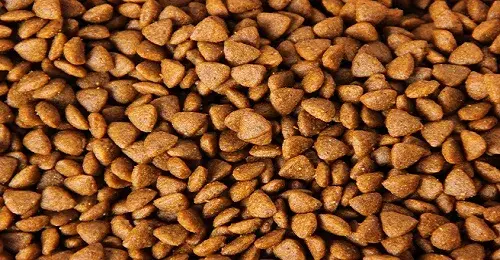 potencial_de_exportacion_de_productos_para_mascotas