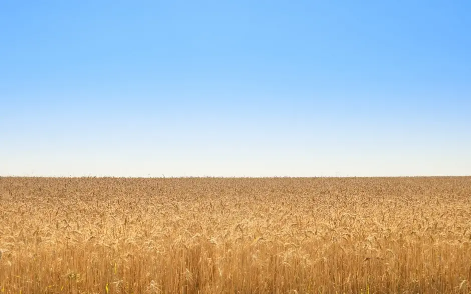 Agrícola a Unión Europea