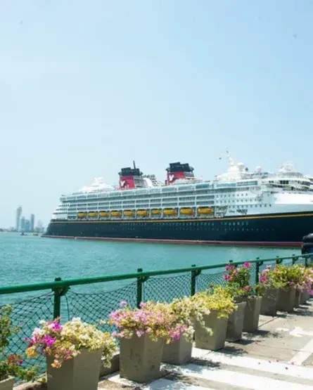 Crucero
